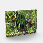 ミニカタルズラグーン フォトブロック (左)