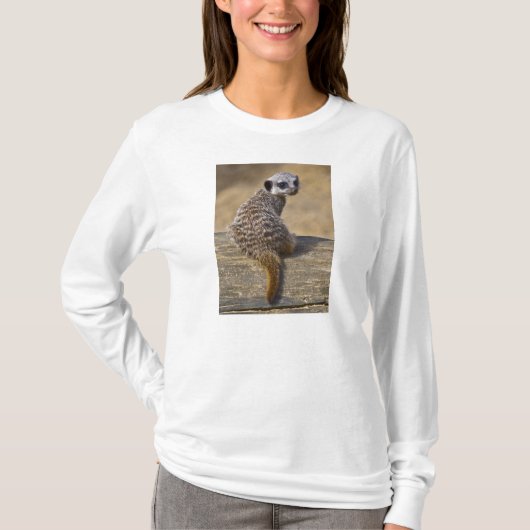 ミニカットTシャツ Tシャツ (正面)