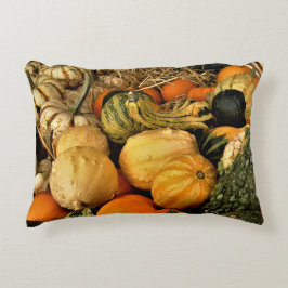 ミニカボチャとグルズの品揃え秋写真 アクセントクッション