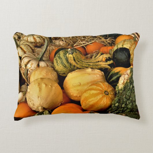 ミニカボチャとグルズの品揃え秋写真 アクセントクッション (正面)