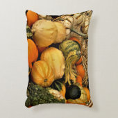 ミニカボチャとグルズの品揃え秋写真 アクセントクッション (正面(垂直))
