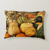 ミニカボチャとグルズの品揃え秋写真 アクセントクッション (裏面)