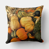 ミニカボチャとグルズの品揃え秋写真 クッション (裏面)