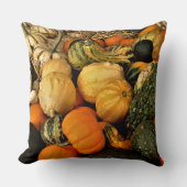 ミニカボチャとグルズの品揃え秋写真 クッション (正面)