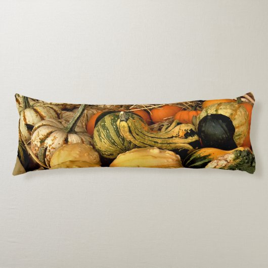 ミニカボチャとグルズの品揃え秋写真 ボディピロー (正面)