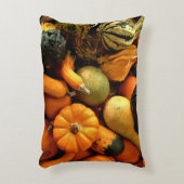 ミニカボチャとグルズ品揃え秋写真2 アクセントクッション (正面(垂直))