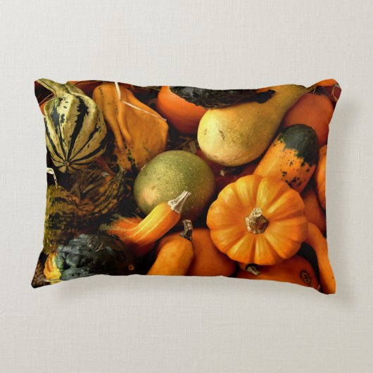 ミニカボチャとグルズ品揃え秋写真2 アクセントクッション (裏面)