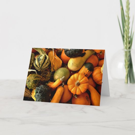 ミニカボチャとグルズ品揃え秋写真2 カード (正面)