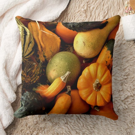 ミニカボチャとグルズ品揃え秋写真2 クッション (ブランケット)