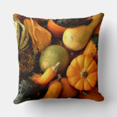 ミニカボチャとグルズ品揃え秋写真2 クッション (裏面)