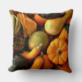 ミニカボチャとグルズ品揃え秋写真2 クッション (正面)