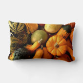 ミニカボチャとグルズ品揃え秋写真2 ランバークッション (裏面)