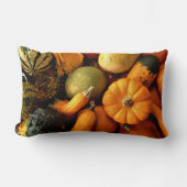 ミニカボチャとグルズ品揃え秋写真2 ランバークッション (正面)