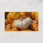 ミニカボチャのパッチは、私たちはあらゆる種類の成長… 名刺 (裏面)