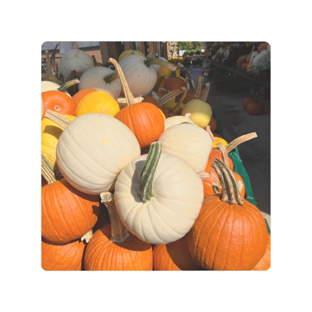 ミニカボチャカラフルン メタルプリント (正面)