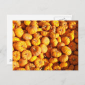 ミニカボチャ葉書 ポストカード (正面/裏面)