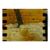 ミニカボチャ (正面横)