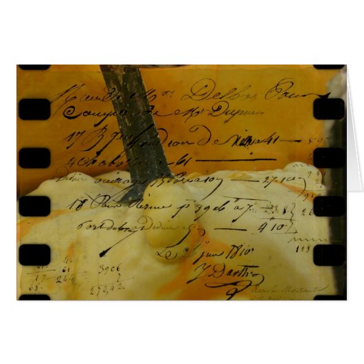 ミニカボチャ (正面横)