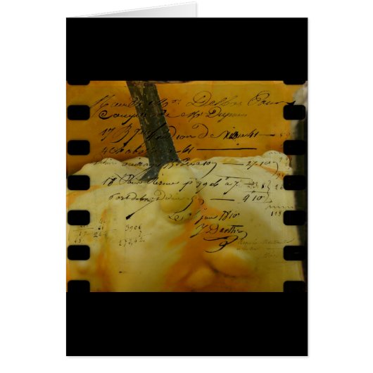 ミニカボチャ (正面)