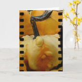 ミニカボチャ カード (黄色い花)