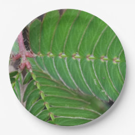 ミニグリーンリーフ紙プレート ペーパープレート