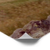 ミニシュナウザー ポスター (角)