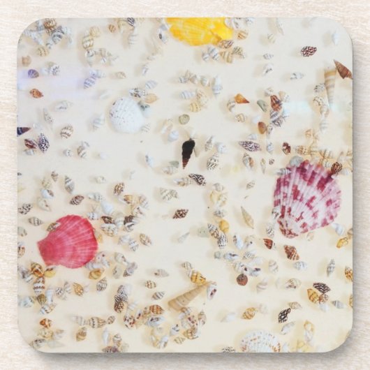 ミニシーカラフルシェルズ コースター (正面)