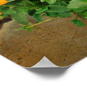 ミニスプリングタイムガーデン ポスター (角)