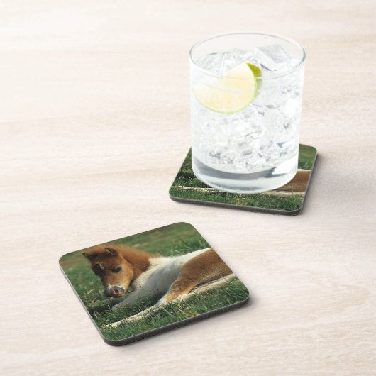 ミニチュアに子馬の置くこと コースター (右側)