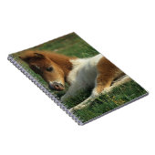 ミニチュアに子馬の置くこと ノートブック (右側)