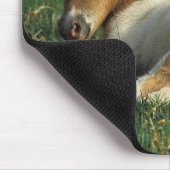 ミニチュアに子馬の置くこと マウスパッド (コーナー)