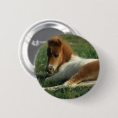 ミニチュアに子馬の置くこと 缶バッジ (正面&裏面)