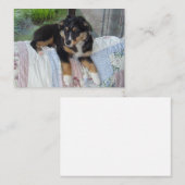 ミニチュアのアメリカの羊飼いブラックトリパピー ノートカード (正面/裏面)