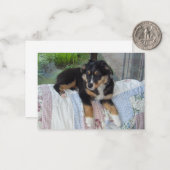 ミニチュアのアメリカの羊飼いブラックトリパピー ノートカード (正面/裏面インサイチュ)