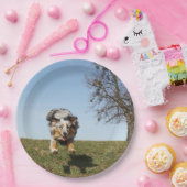 ミニチュアのアメリカンシェパードブルーメルジャンピング ペーパープレート (パーティー)