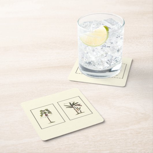 ミニチュアのフレームのヤシの木2本 スクエアペーパーコースター (インサイチュ)