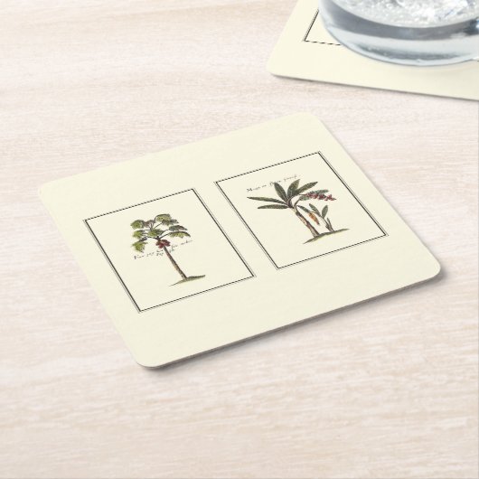 ミニチュアのフレームのヤシの木2本 スクエアペーパーコースター (アングル)
