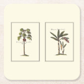 ミニチュアのフレームのヤシの木2本 スクエアペーパーコースター (正面)