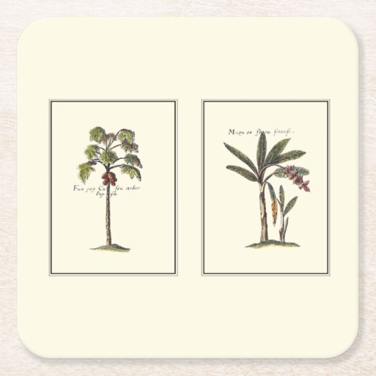 ミニチュアのフレームのヤシの木2本 スクエアペーパーコースター (正面)