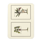 ミニチュアのフレームのヤシの木2本 マグネット (縦)