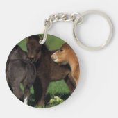 ミニチュアの子馬1 キーホルダー (裏面)