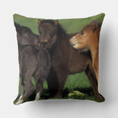 ミニチュアの子馬1 クッション (裏面)