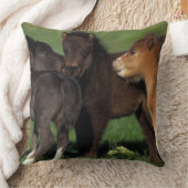 ミニチュアの子馬1 クッション (ブランケット)