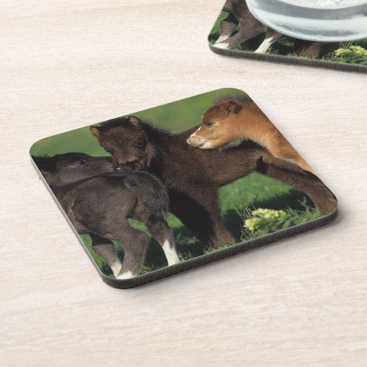 ミニチュアの子馬1 コースター (左側)