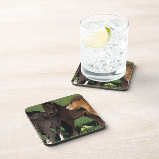 ミニチュアの子馬1 コースター (右側)