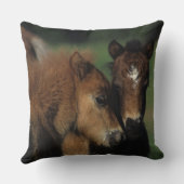 ミニチュアの子馬2 クッション (裏面)