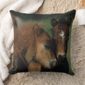 ミニチュアの子馬2 クッション (ブランケット)