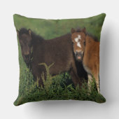 ミニチュアは草で産みます クッション (裏面)