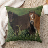 ミニチュアは草で産みます クッション (ブランケット)