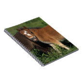 ミニチュアは草で産みます ノートブック (右側)